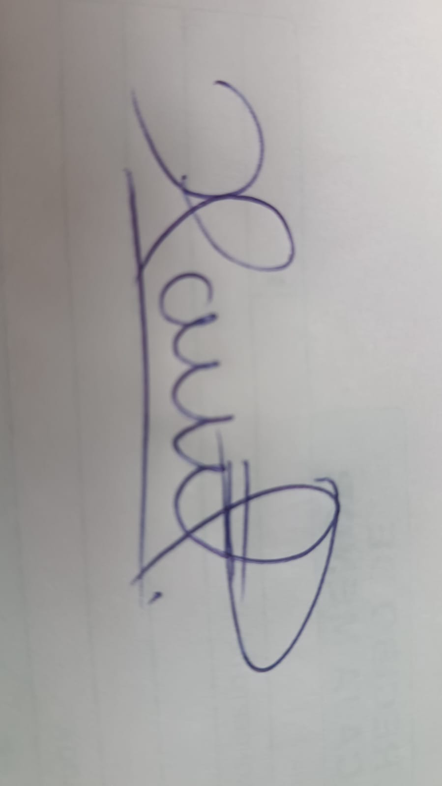 Firma Director